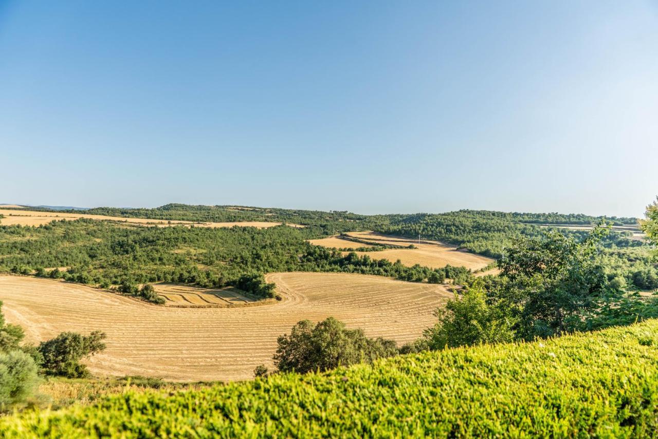 Casa Rural Sant Grau Turismo Saludable Y Responsable Solsona Ngoại thất bức ảnh